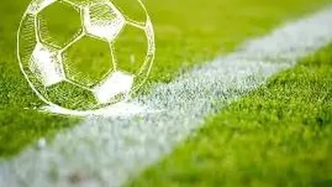 顶级运动员培养成本高昂。